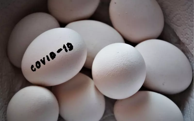 我和网恋对象昨晚吵了一架，突然觉得留在这里是多余的。