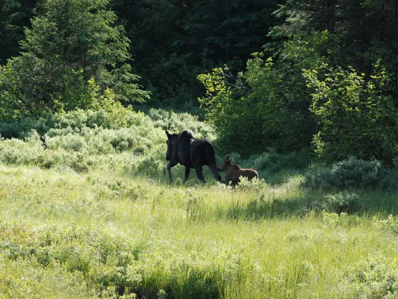 “我跟他的三观和灵魂极度契合，但他有家庭，我该怎么办？”
