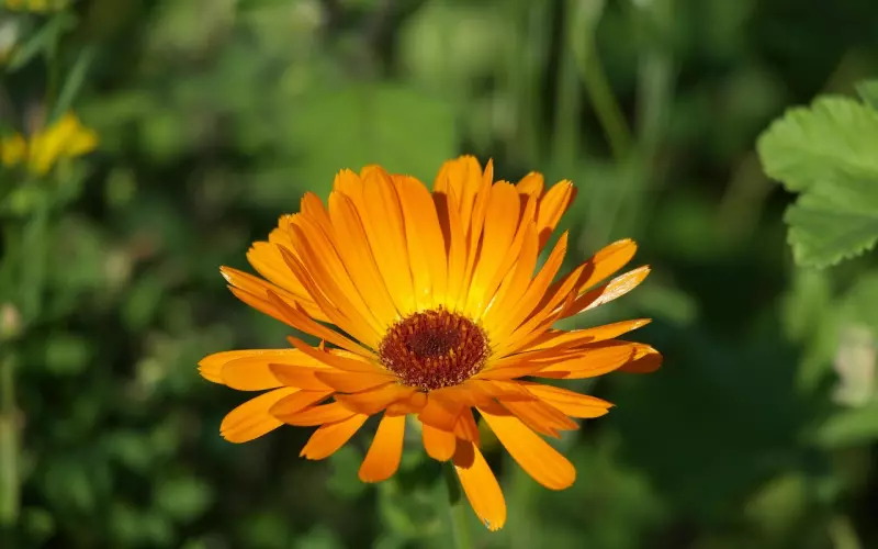 父母不同意我们在一起 我能做些什么