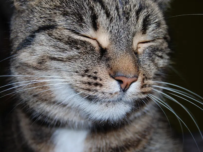 对象对我忽冷忽热，他是想分手吗？