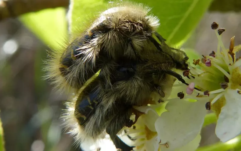 我的亲身经历：发现甲状腺结节怎么办？甲状腺癌怎么治？