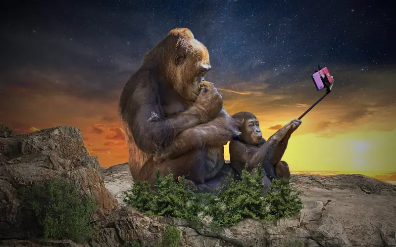 我的自拍好美，可以发给前任吗？