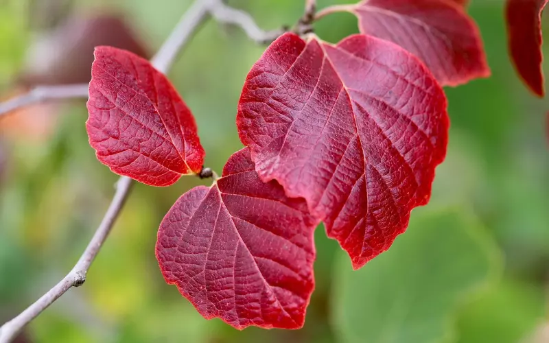 ?我姓梅，叫梅良心。（笑得肚子疼了半天...）