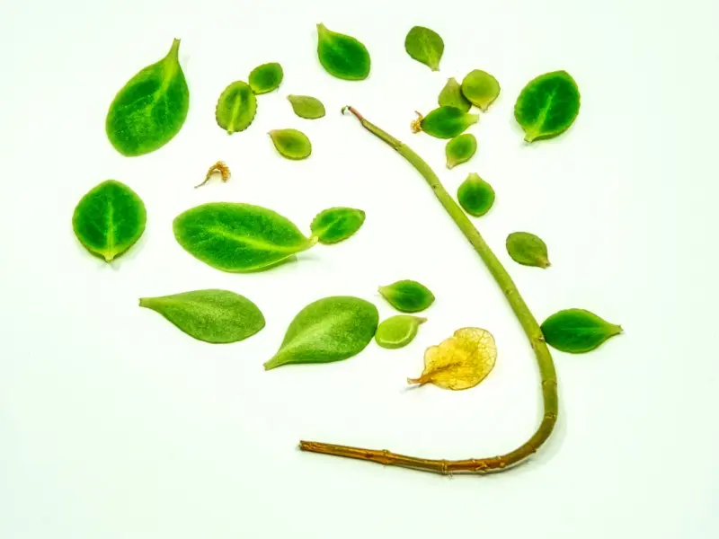 老婆和我闹离婚，现在待在娘家不回来，我该怎么办