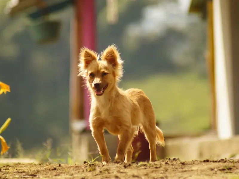老婆背着我联系前男友，我该挽回这段婚姻吗？