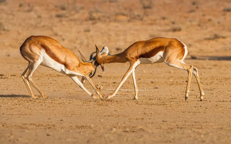 老婆心有里有别人，如何挽回？