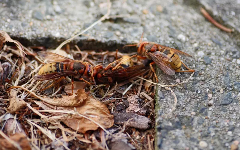 老婆对你死了心？挽回她的方法大揭秘！