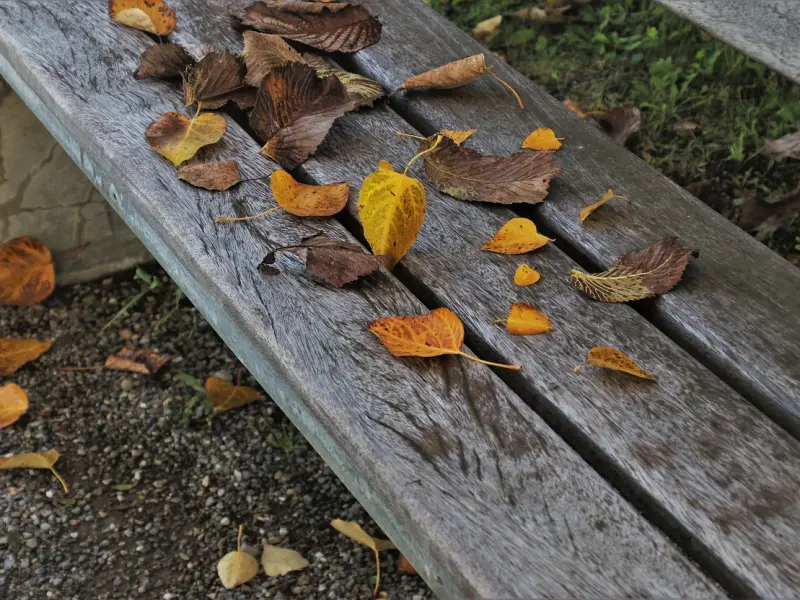 老婆有外遇？老婆出轨我该如何挽回？