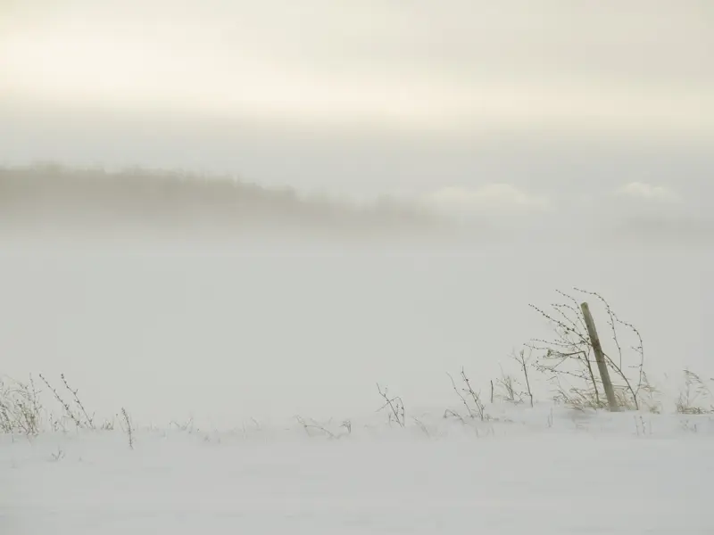 老婆突然不理我，是出现什么问题了吗？