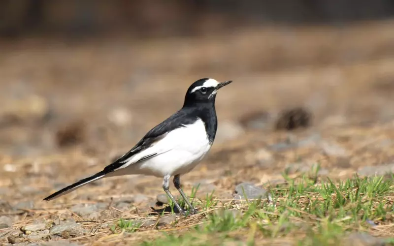 走出失恋的N个“药方”