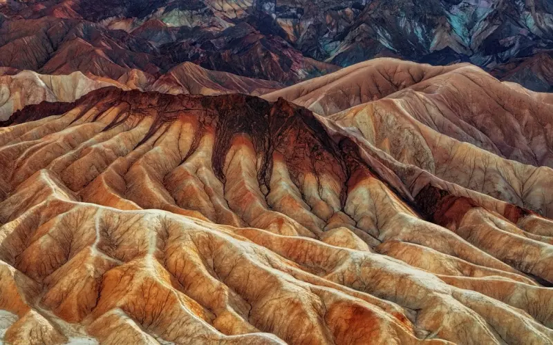 长期关系之筛选伴侣的重要指标之原生教育