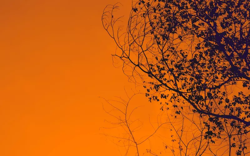 需 要 有 些 不 同