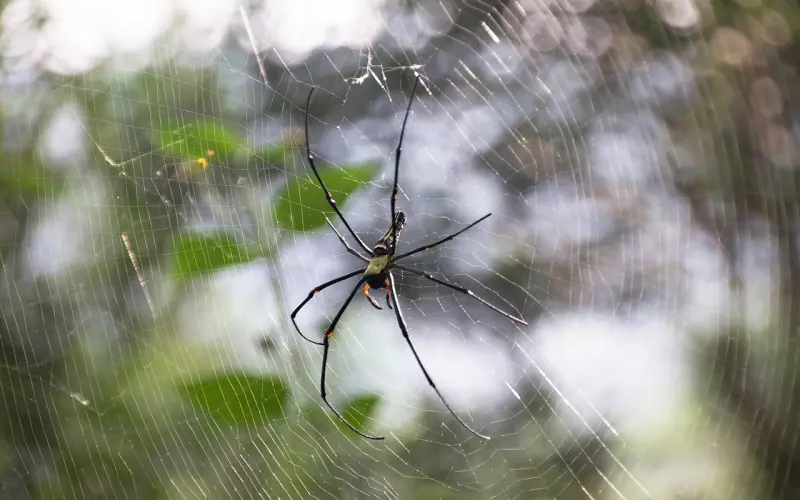 网易云音乐——如果再回到面对你的那一刻，我一定转身就走