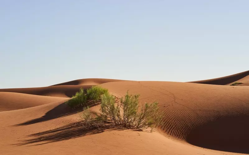 网易音乐热评——愿你前程似锦再无波澜 愿你衣锦还乡再无苦难