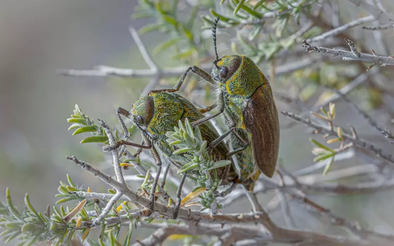 千万不要对你的伴侣坦诚相待！