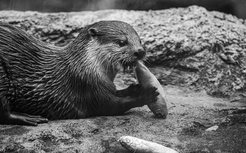 空腹千万不要这样吃，后果很严重！