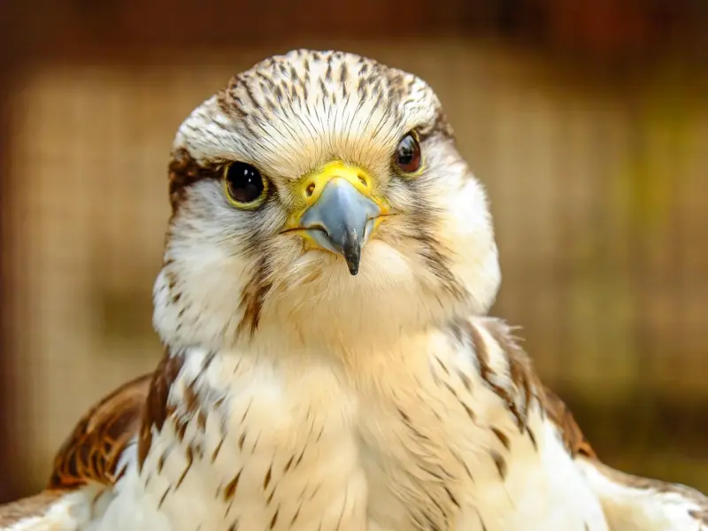 永远不要原谅这样的男人