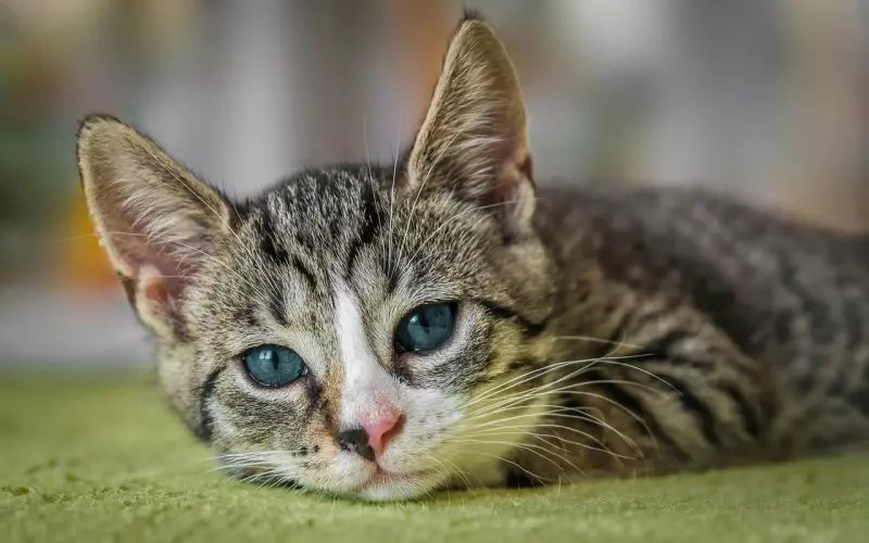 好听又短又伤感的短句，适合做个性签名！