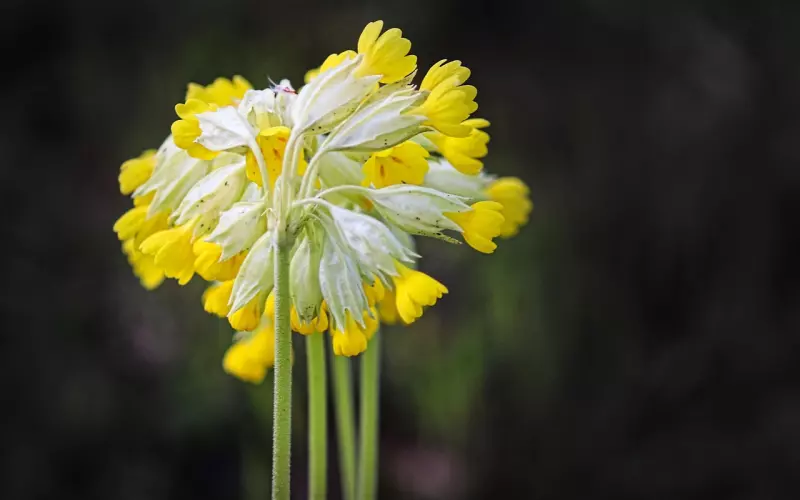 谈恋爱最容易分手的九件事情