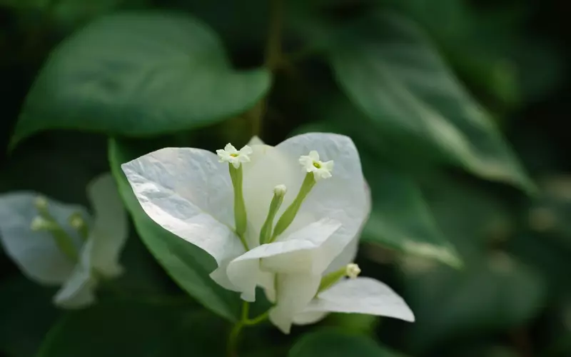 百分之九十九的情侣分手，都是因为这五种原因