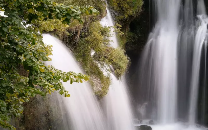 联不联系，依然惦记。