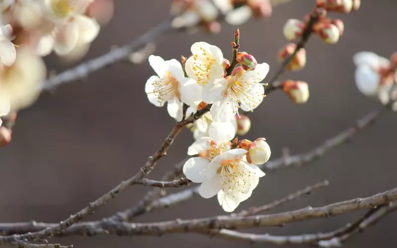 今生无缘，来生相见