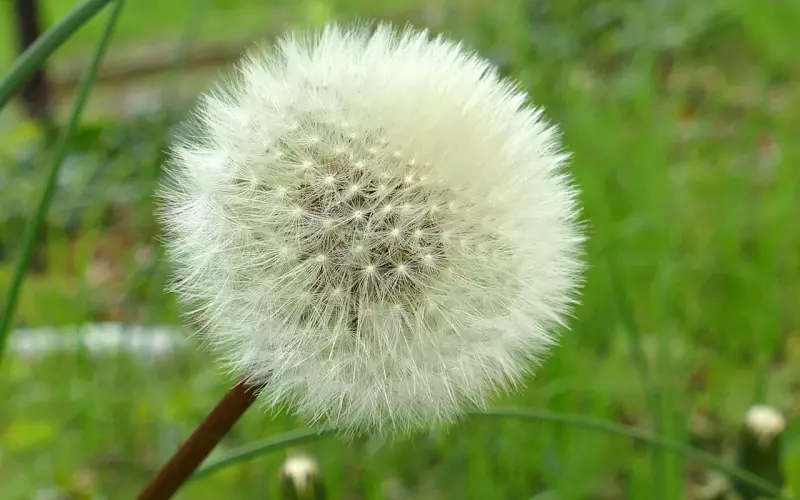 狼再坏，蛇再冷，都不如人心狠！