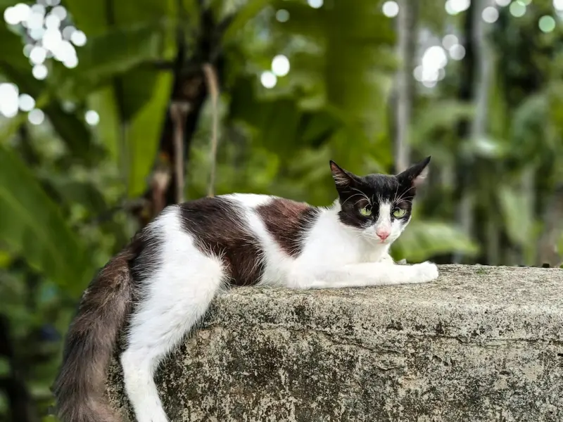 男女之间，爱得再深，也不要做这一件事