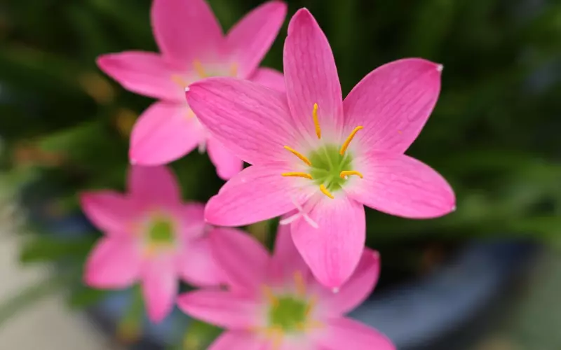 再好的婚姻，也会死于这四个字