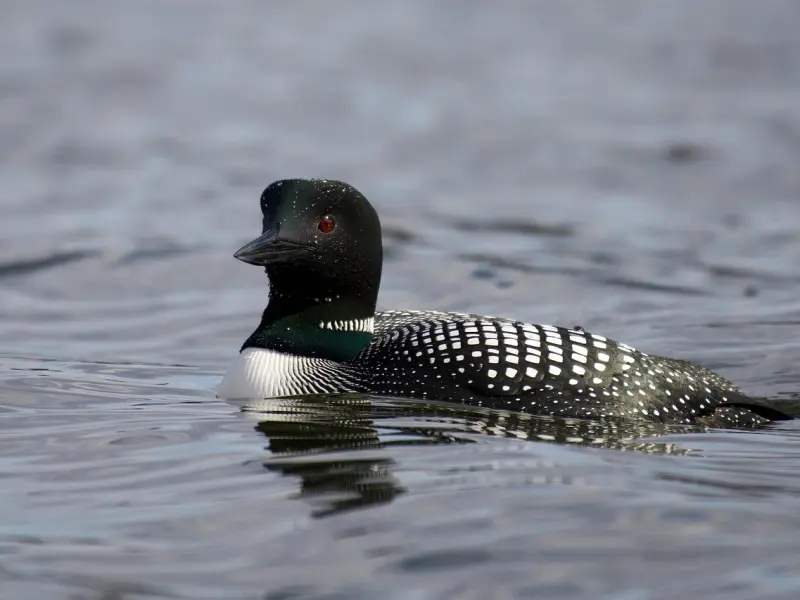 不管关系多好，朋友之间都要注意这9个“潜规则”