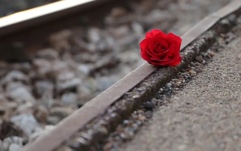 你再好，也不能让所有人满意