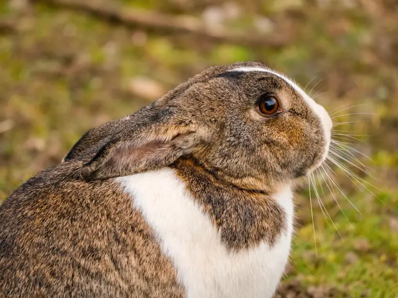 我怎样解释都不能挽回，我该怎样挽回爱情？