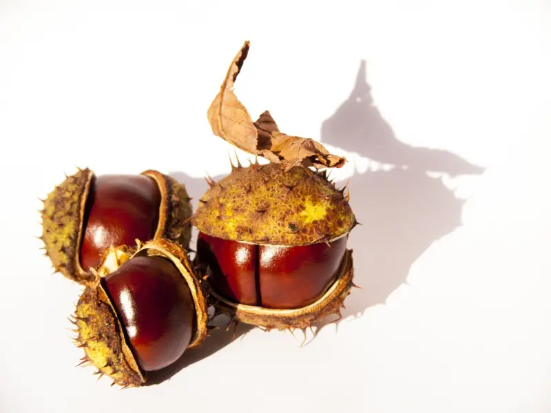 ❤不管你奔几了，都需要看看这15句话！