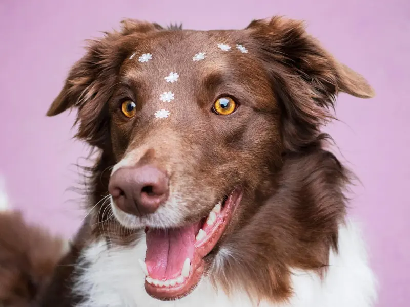 不管我怎么求女朋友，她还是和我分手了，我想挽回她该怎么做