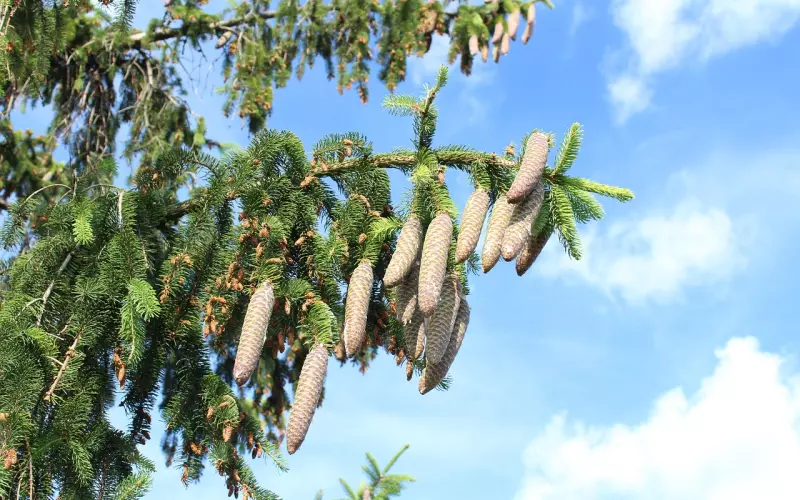 夫妻再恩爱，这4条“红线”都不能碰，一碰准“离”！