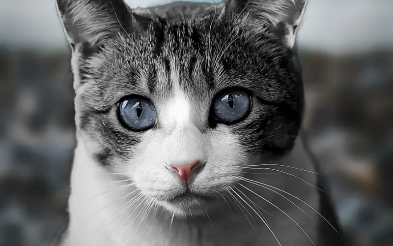 再坚强，也会流泪