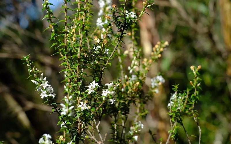 你怎么争，都争不过天道和规矩