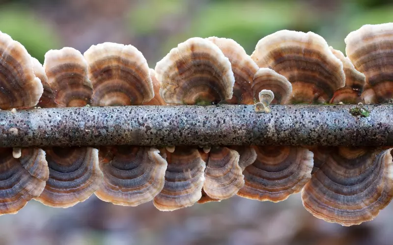 无论正经历什么，都不要轻言放弃，因为从来没有一种坚持会被辜负