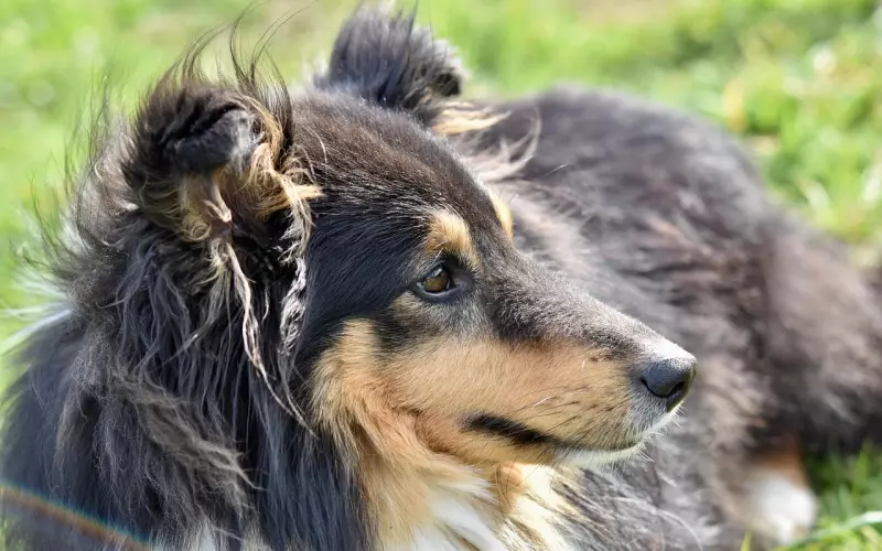 无需”洪荒之力“，老婆依然爱我爱的死去活来得!