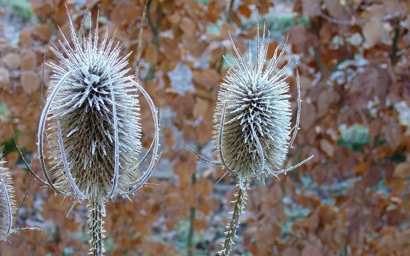 没有女人能受得了这种挑逗，原来挽回也这么好玩