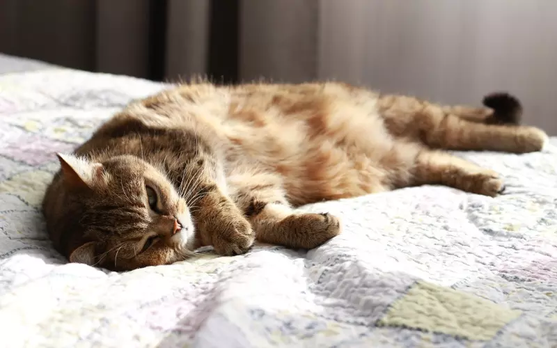 我喜欢的歌都没有火，就像我喜欢的人从未喜欢过我！