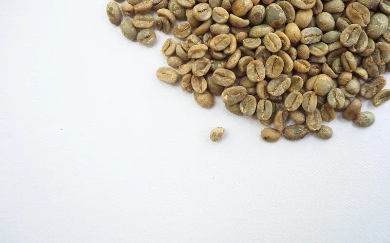 【侬只能比阿拉胖一点】这是个“挑剔”的汉纸