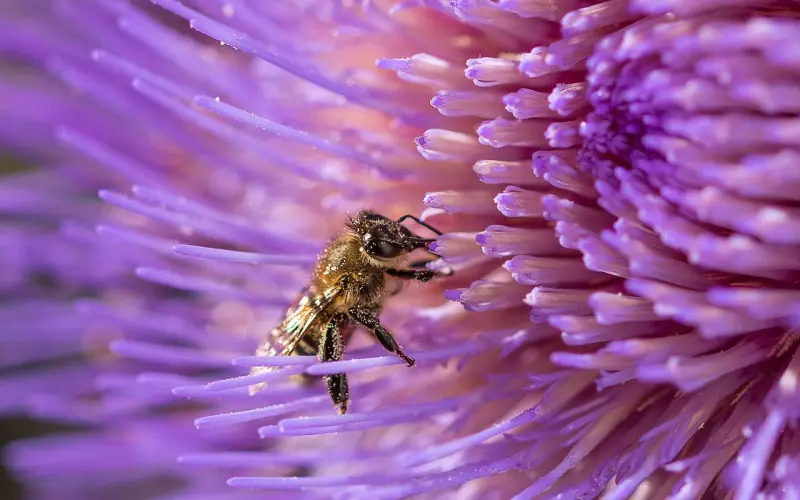对挽回男友没有信心？先从读懂男人的世界开始