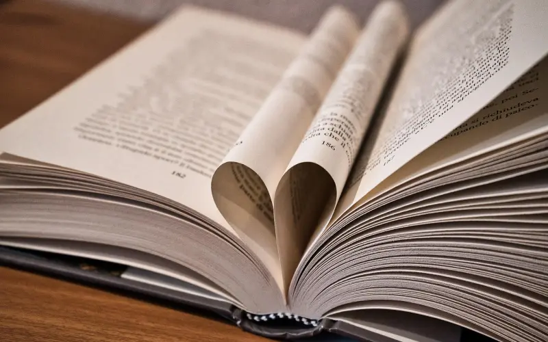 《非诚》黄妍果敢爆灯获真爱 百合网专家：真爱值得冒险