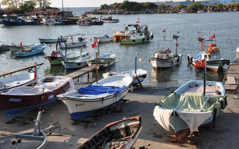 《非诚》引发“前任”处理方式热议