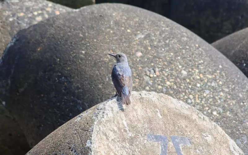 挽回男友注意：断联需要讲究方法