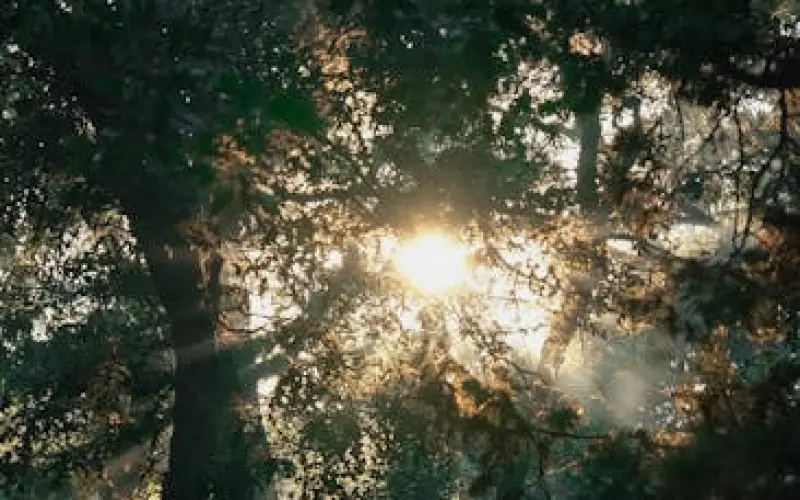 和前任复合后可以给前任取的备注(分手以后给前任备注什么比较合适)