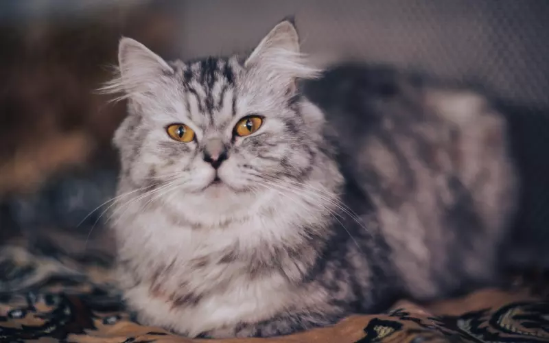 名词真的不重要，有好的互动比较重要复不复合