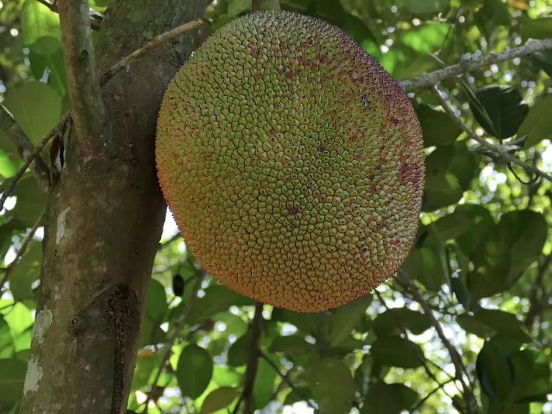 明明就是你觉得对方的智商跟你一样低