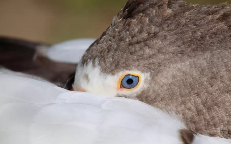 10月22，累了就睡觉，醒了就微笑，活着没什么大不了！写的太好了！
